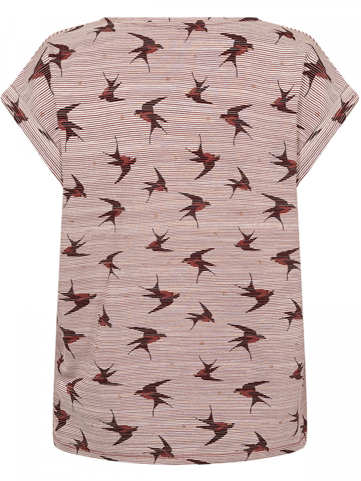 Topp Galina röd domherre från...