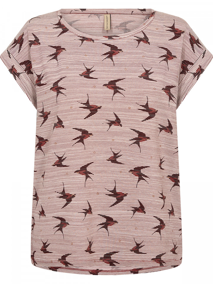 Topp Galina röd domherre från...