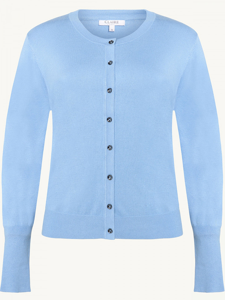 Finstickad kofta Camilla ljusblå från Claire