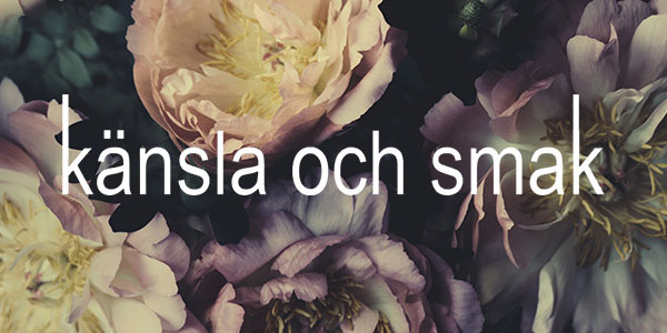 Allemansrätt, nytt och blandat! Nyhetsbrev 7 november 2025.