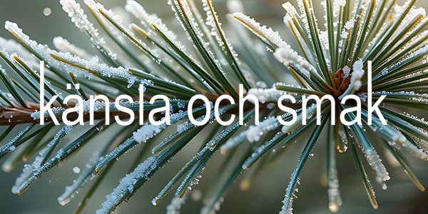 Nu har det blivit dags att kika på färgpaletten grönt, crème och guld. Nyhetsbrev 21 november 2025.