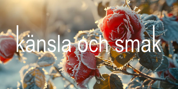 Tomtens röda färg! Nyhetsbrev 2 december 2025.