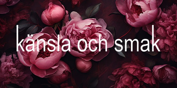 Påfyllning och nytt! Nyhetsbrev 5 december 2025.