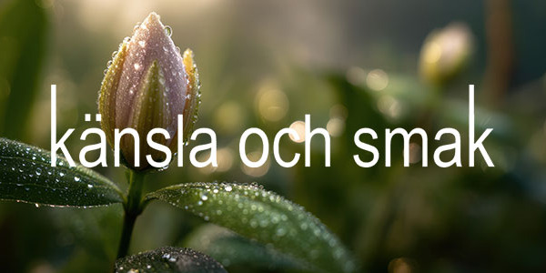 Vårens färgprakt i butiken redan nu!