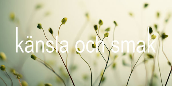 Ikväll klockan 21.00 släcker vi rean på webbshopen!