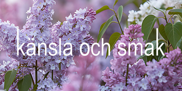 Blommor och långskjortor!