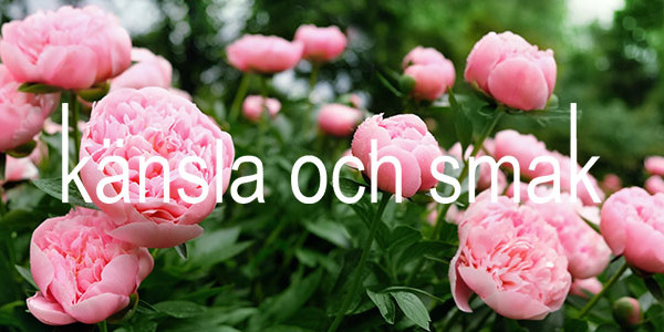 Sportig look med shorts och piké