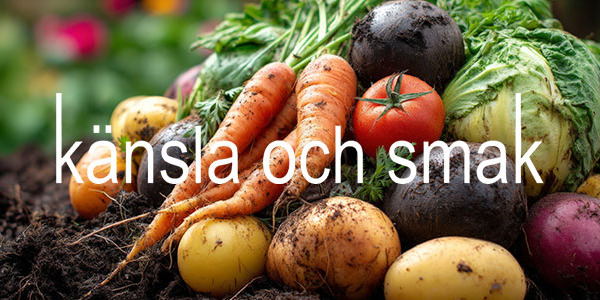 Gulliga harar och teddyjackor!