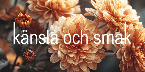 Byxor av kungens snöre!
